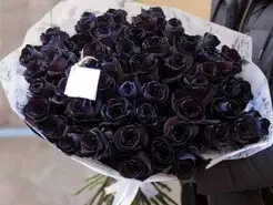ترفند کاشت گل رز در کمترین جای خانه | با این ترفند همیشه تو خونت گل رز زیبا داری
