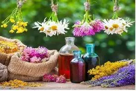 10 گیاه دارویی و اورژانسی که حتما باید در خانه داشته باشید!