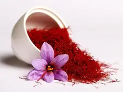  این گیاه باعث تحریک اعصاب شده و برای درمان افسردگی مفید است 