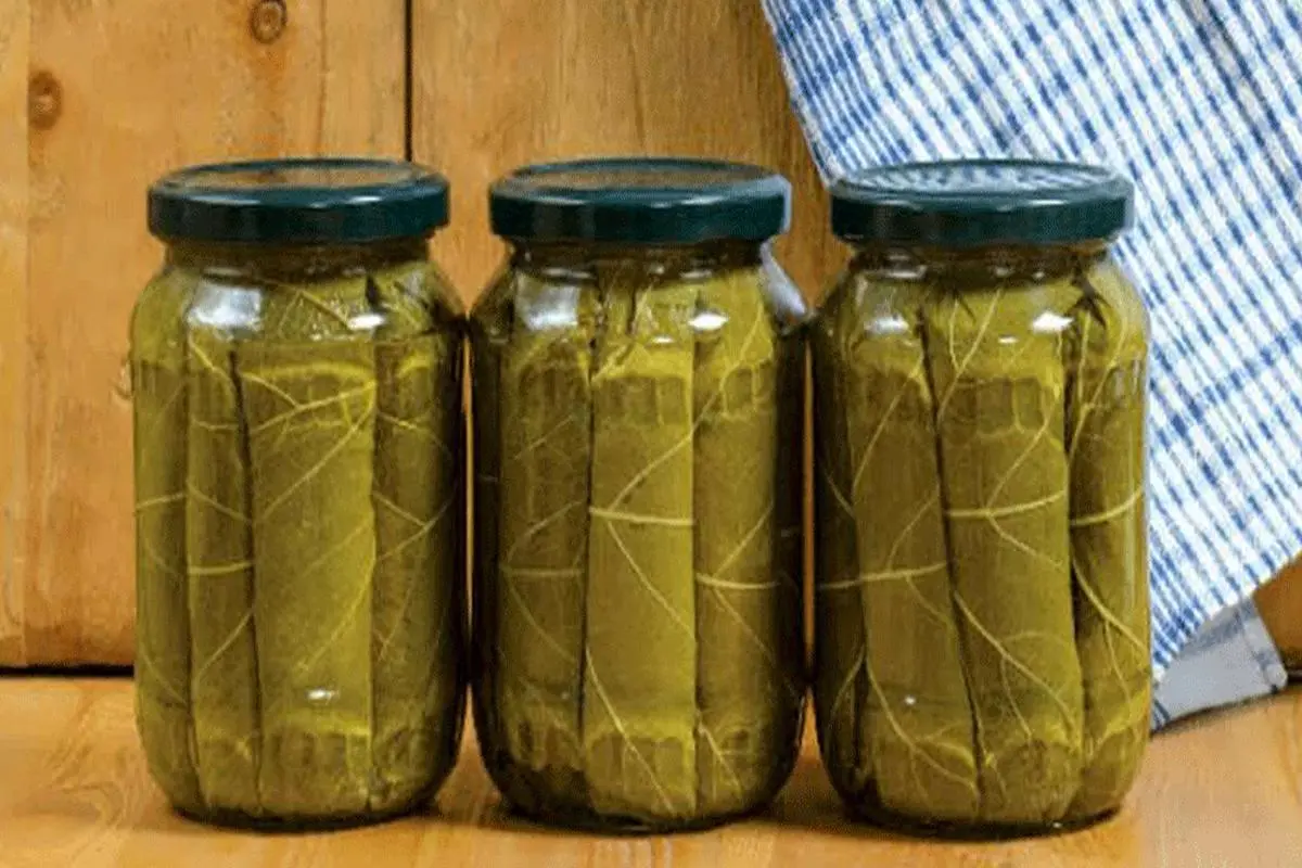طرز تهیه ترشی برگ مو