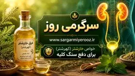 با این عرق گیاهی رسوبات کلیه را تاروپود کنید | راز پاکسازی کلیه‌ها با نوشیدن این عرق گیاهی