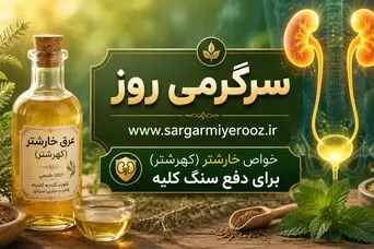 با این عرق گیاهی رسوبات کلیه را تاروپود کنید | راز پاکسازی کلیه‌ها با نوشیدن این عرق گیاهی