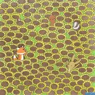 بازی فکری : تا حالا کسی نتونسته پروانه مخفی رو پیدا کنه!