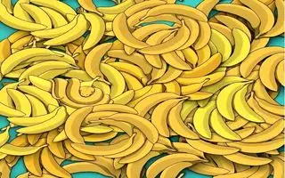 بازی فکری : چشمات باید فول اچ دی باشه تا بتونی مار پنهان شده را در ۱۵ ثانیه پیدا کنید!