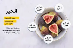 فصل درمان تنبلی کبد با این میوه شبیه خاصیت عسل فرا رسید | ترکیب این میوه با آب برای شما در کوتاه ترین مدت معجزه میکند
