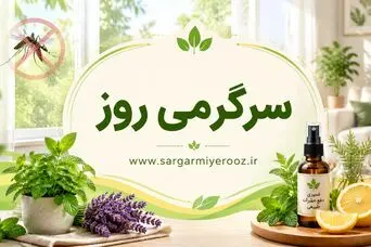با این روش خانگی پشه هارو تارومار کنید | از شر پشه‌ها با این ترفند خانگی خلاص شوید