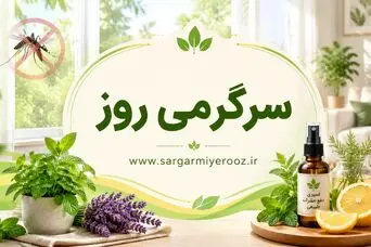 با این روش خانگی پشه هارو تارومار کنید | از شر پشه‌ها با این ترفند خانگی خلاص شوید
