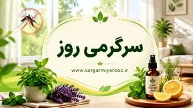 با این روش خانگی پشه هارو تارومار کنید | از شر پشه‌ها با این ترفند خانگی خلاص شوید