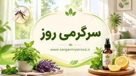با این روش خانگی پشه هارو تارومار کنید | از شر پشه‌ها با این ترفند خانگی خلاص شوید
