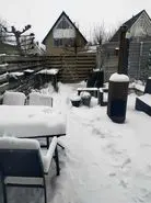 بازی فکری : امکان نداره تو 6 ثانیه بتونی گربه رو پیدا کنی ؛ اگه تونستی هیچوقت مغزت پیر نمیشه!