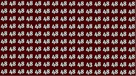 بازی فکری: در عرض ۷ ثانیه، عدد ۸۴ و ۴۳ را از بین ۴۸ ها پیدا کنید