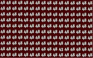 بازی فکری: در عرض ۷ ثانیه، عدد ۸۴ و ۴۳ را از بین ۴۸ ها پیدا کنید