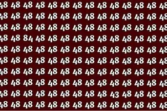 بازی فکری: در عرض ۷ ثانیه، عدد ۸۴ و ۴۳ را از بین ۴۸ ها پیدا کنید