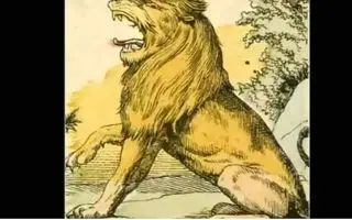 بازی فکری : ۲ موش پنهان و پیدا کن و ثابت کن از ۹۹ درصد مردم زبل‌تری!