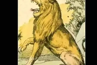 بازی فکری : ۲ موش پنهان و پیدا کن و ثابت کن از ۹۹ درصد مردم زبل‌تری!