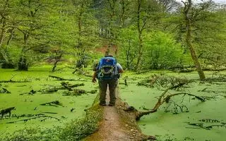 مرداب دِریوک؛ بکرترین و زیباترین مرداب برای سفر پاییزی یکروزه