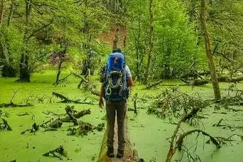 مرداب دِریوک؛ بکرترین و زیباترین مرداب برای سفر پاییزی یکروزه