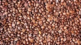 بازی فکری : فقط ۲ نفر از ۲۰۰ نفر موفق شدند چهره را در ۹ ثانیه پیدا کنند!