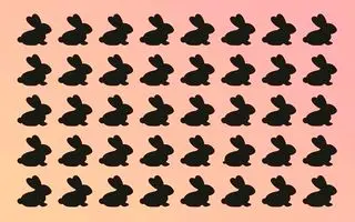 بازی فکری : خرگوش متفاوت کجاست؟ اگر تیزبین هستید آن را در 3 ثانیه پیدا کنید!