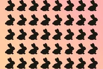 بازی فکری : خرگوش متفاوت کجاست؟ اگر تیزبین هستید آن را در 3 ثانیه پیدا کنید!