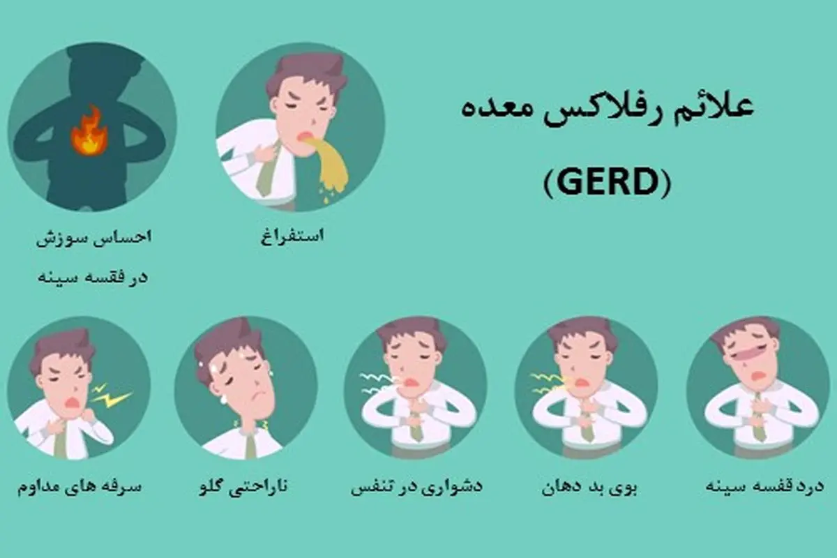  ۷ ماده غذایی مفید برای افرادی که رفلاکس معده دارند
