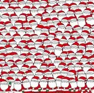 بازی فکری : فقط اونایی که دید خلبانی دارن  3 میتونن در 5 ثانیه گربه مخفی را پیدا کنند!