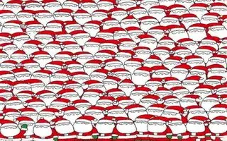 بازی فکری : فقط اونایی که دید خلبانی دارن  3 میتونن در 5 ثانیه گربه مخفی را پیدا کنند!