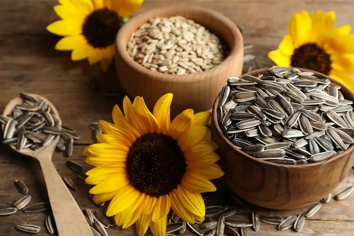  این دانه بیشترین سطح کلسیم را دارد 