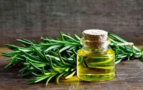  گیاه معطری که شما را باهوش‌تر میکند 