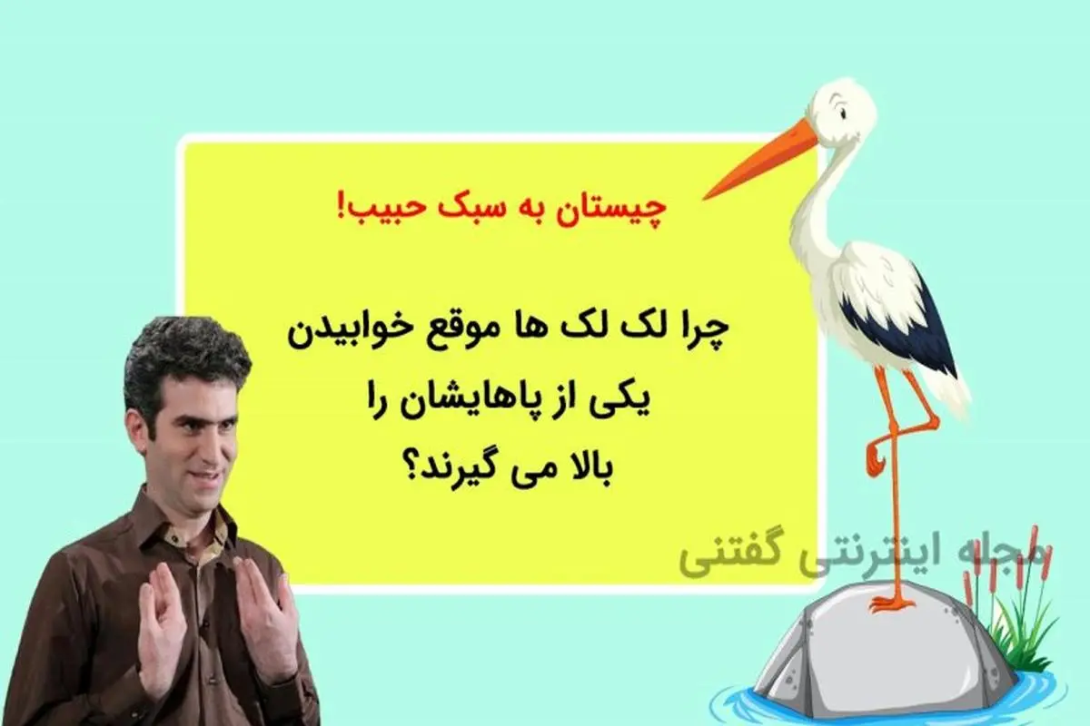  چیستان حبیب لیسانسه  ها | چرا لک لک ها موقع خوابیدن یکی از پاهایشان را بالا می گیرند؟