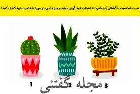 تست شخصیت شناسی | یکی از گلدونارو انتخاب کن تابگم عشقت چقدر تنبل و به درد نخوره