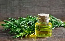  اگر از صبح ناشتا تا غذای ظهر و شام این گیاه را مصرف کنید تا 120 سالگی بیمار نمی شوید 