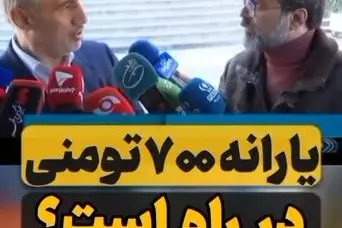 یارانه نقدی ۷۰۰ هزار تومانی برای هر نفر از راه رسید | خبر خوش مقام دولتی برای یارانه بگیران