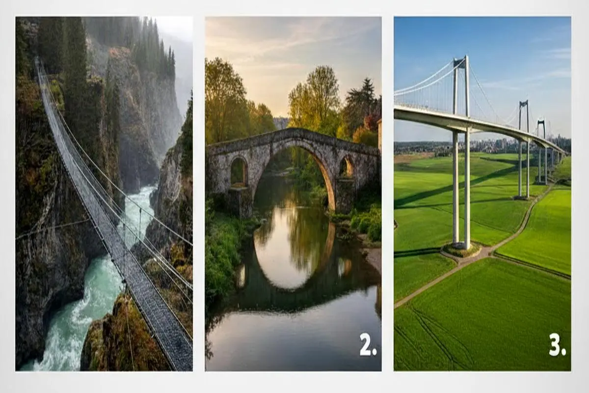 تست شخصیت‌ شناسی : با انتخاب یک پل ویژگی شخصیتی خود را بهتر بشناسید!