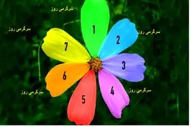 یک گلبرگ را انتخاب کنید و بفهمید که بزرگترین آرزوی شما چه زمانی محقق می شود