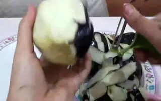 از بین بردن تلخی بادمجان با ساده ترین روش که تا حالا نمیدونستی!