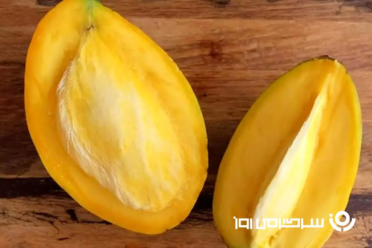 سوپرفودی قدرتمند برای مردان! | کلید سلامت و توان جنسی مردان در طب سنتی و مدرن در هسته این میوه