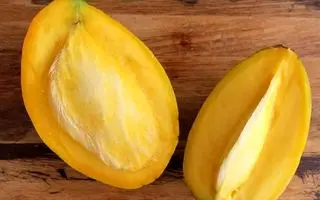 سوپرفودی قدرتمند برای مردان! | کلید سلامت و توان جنسی مردان در طب سنتی و مدرن در هسته این میوه