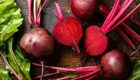 روش نگهداری چغندر خام در فریزر: ترفند طلایی برای ماندگاری بیشتر بدون از دست دادن خاصیت