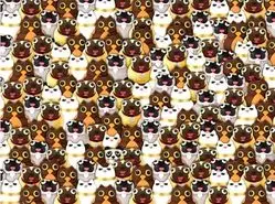 بازی فکری : او استاد فرار از گیر افتادن است! فقط یک نابغه واقعی میتواند پاندا را در ۵ ثانیه پیدا کند!