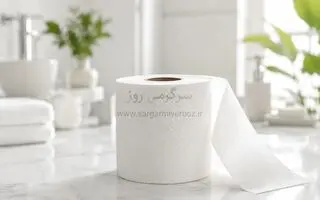 ادعای جنجالی درباره دستمال توالت و کیست تخمدان؛ آیا دستمال توالت می‌تواند باعث ناباروری شود؟ 