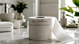 ادعای جنجالی درباره دستمال توالت و کیست تخمدان؛ آیا دستمال توالت می‌تواند باعث ناباروری شود؟ 
