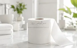 ادعای جنجالی درباره دستمال توالت و کیست تخمدان؛ آیا دستمال توالت می‌تواند باعث ناباروری شود؟ 