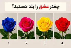 تست شخصیت شناسی: یک رنگ گل رز را انتخاب کنید تا بفهمید چقدر عشق را بلد هستید!
