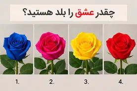 تست شخصیت شناسی: یک رنگ گل رز را انتخاب کنید تا بفهمید چقدر عشق را بلد هستید!