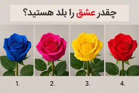 تست شخصیت شناسی: یک رنگ گل رز را انتخاب کنید تا بفهمید چقدر عشق را بلد هستید!