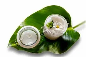 دیگه پول کرم و مرطوب کننده نده!این گیاه بهترین کرم برای پوست هست