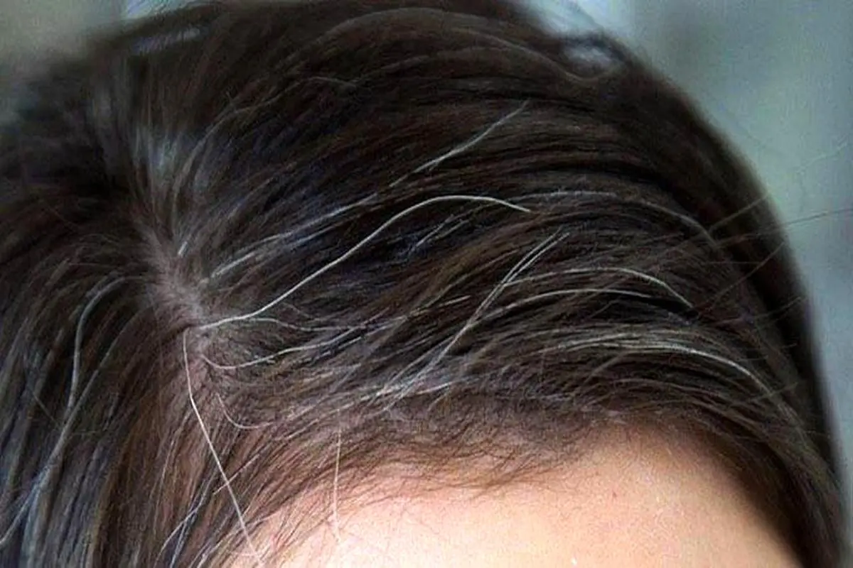  جلوگیری از سفید شدن مو‌ها با این روش 