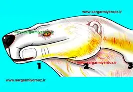 اولین چیزی که ببینید بزرگترین خیانت زندگیتو رو میکنه | تست شخصیت شناسی