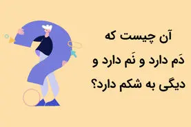 چیستان روز | آن چیست که دَم دارد و نَم دارد و دیگی به شکم دارد؟